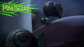 Minuscule - Escargot qui roule n'amasse pas mousse / A rolling snail gathers no Moss (Season 1)