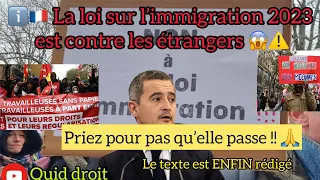 😱Loi immigration contre les étrangers, changement pour les étudiants, regroupement familial,AME,ETC