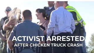 Activist arrested after chicken truck crash