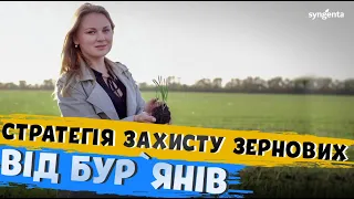 ГЕРБІЦИДИ НА ЗЕРНОВІ. ЕФЕКТИВНЕ ЗАСТОСУВАННЯ