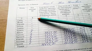 Годовой отчет по ЕСВ за 2018 год ФОП на Едином налоге