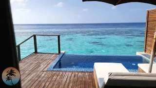 Deluxe WATER Villa with pool 4K | Lily Beach Resort MALDIVES 🌊🌴 | Room TOUR | South ARI Atoll | Vlog