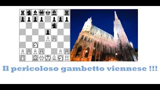 Il pericoloso gambetto Viennese !!!