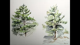 LA FORZA DEL PINO  PINE’S POWER Acquerello tutorial facile Time lapse easy watercolor landscape demo