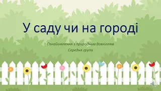 Відео-заняття з природи "У саду чи на городі" Середня група