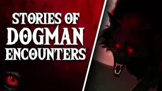 SWAMP WOLVES  - 9 TERRIFYING DOGMAN ENCOUNTERS AND DOGMAN SIGHTINGS - What Lurks Beneath