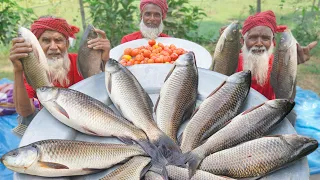 Big Rohu Fish Cutting & Cooking by Grandpa - Tomato Mixed Delicious Rui Fish Curry Recipe