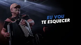 Eu Vou Te Esquecer - (REPERTÓRIO NOVO) Tarcísio Do Acordeon #alta #forró #tarcísiodoacordeon