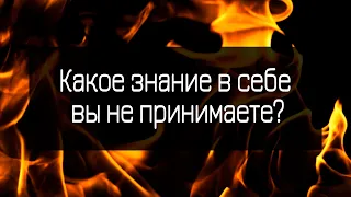 С чем вы сражаетесь? Что не принимаете в себе или в других? Ответ от оракула Мистика-Шамана.