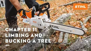 Chapter 11: Limbing and Bucking a Tree | STIHL Tutorial