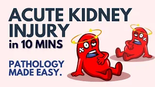 Acute Kidney Injury in 10 Minutes l Pathology Made Easy