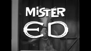 Mister Ed - Intro [1962]