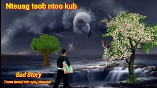 Dab neeg tu siab-Ntsuag tsob ntoo kub 7/4/2022