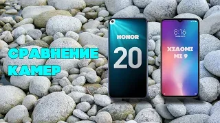 Сравнение камер Honor 20 и Xiaomi Mi9. Когда купить Honor🤔, когда купить Xiaomi🤷‍♂️