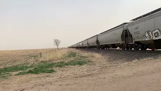 Slow westbound empty grain train