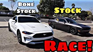 Roll Race 2019 Dodge SCATPACK vs 2020 Mustang GT *IT WAS CLOSE*