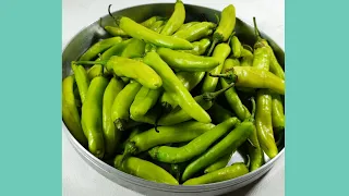 Pickling green peppers🌶 in a very easy way and with a distinctive taste🤤 | Pickled peppers