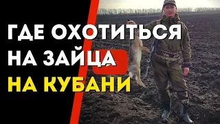 Охота на зайца на КубаниГде лучше охотиться на зайца в Краснодарском крае? Славная Охота