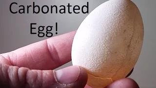 Dissolving Egg Shell With CO2