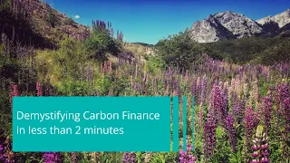 Carbon Finance Explained in Under Two Minutes