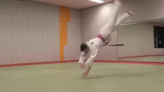 Hapkido falling techniques (낙법 )