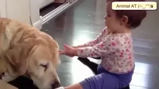 Dogs And Babies Are Best Friends Talking Playing Together "Compilation"