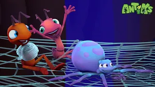 Antiks | Baby Spider! | Funny Cartoons For Kids | Oddbods & Friends