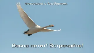 Фотоохота с Альбертом. Весна летит! Встречайте!