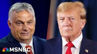 'He has all the instincts of a natural authoritarian': Trump praises Hungarian autocrat Viktor Orban