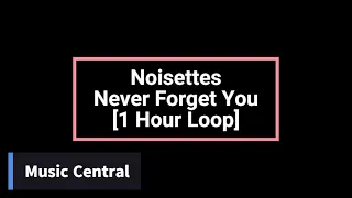 Noisettes - Never Forget You [1 Hour Loop]