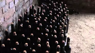 25 тысяч бутылок контрафактного грузинского вина задержано в Ростовской области