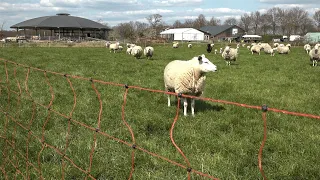 Op safari bij de boer