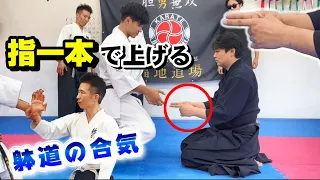 Investigate Keiburyu-Aiki-Taijutsu＆Taido mysterious phenomenon【Aiki-age】