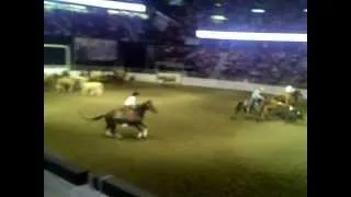 Calgary Stampede - Team Penning Event - July 9, 2012