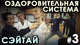 Семинар по СЭЙТАЙ Хошу ИКЕДЫ – 3: единство БОЕВОГО и ОЗДОРОВИТЕЛЬНОГО.