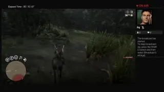 Red dead redemption 2 online in guarma with horse