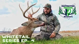 Self Filmed whitetail Hunt | Big 8 Point | Ohio Rut Buck