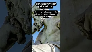 Navigating Adversity with Stoicism #stoic #motivation  #humanism