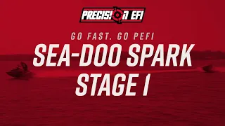 Precision EFI Sea-Doo Spark Stage 1