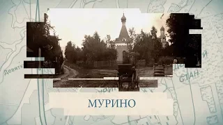 Мурино / «Малые родины большого Петербурга»