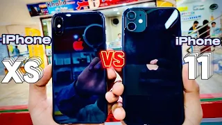 Exciting! iPhone 11 vs iPhone XS|A Daisy Comparison