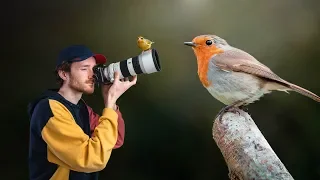 Comment PRENDRE en PHOTO les OISEAUX de son JARDIN