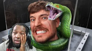 MrBeast Challenge Face Your Biggest Fear To Win $800000 REACTION!