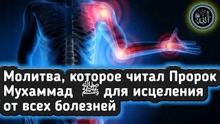 ✅ ДУА от Любой Боли и Болезней на Теле Человека.Положи руку и Читай молитву поможет Ин Ща АЛЛАХ!!!