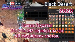 Клан Гахрат после изменений. Фарм элитных мостров. Медия. Black Desert Фарм серебра 2020. Лучница.