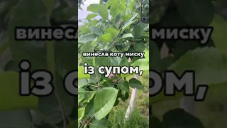 Коли Ніна поверталася ввечері з озера, то побачила біля свого будинку велику чорну машину  Навряд чи