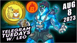 ShibaDoge Labs New Token Launch by Shibarium Shiba Inu DogeCoin Burn Multi Millionaire DeFi Whales