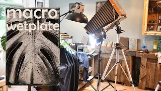 Ultra Large Format, Wetplate, Macro Photography as a Support to an Artist