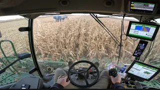 | Cab View | 40 Minutes Of Corn Harvest POV |Combine Sounds