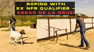 ROPING WITH 9X NFR QUALIFIER - CESAR DE LA CRUZ!!!